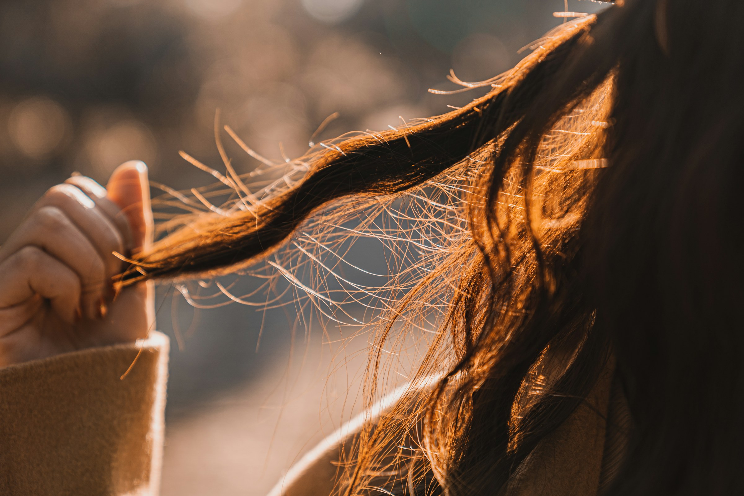 Gros plan d'une main tenant une mèche de cheveux bruns aux pointes sèches, dans une lumière chaude et douce